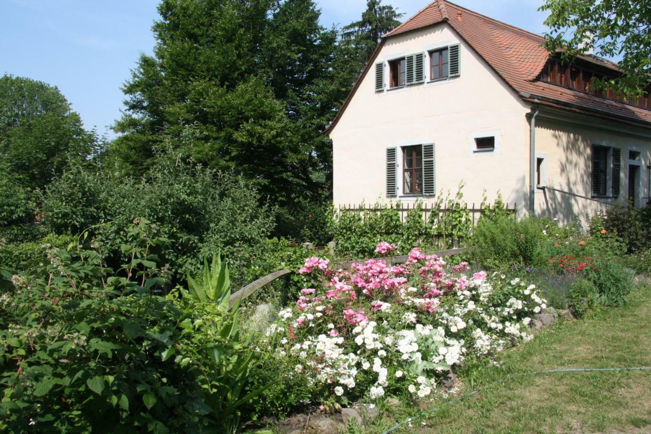 Poncet'Sches Herrenhaus Drážďany Exteriér fotografie